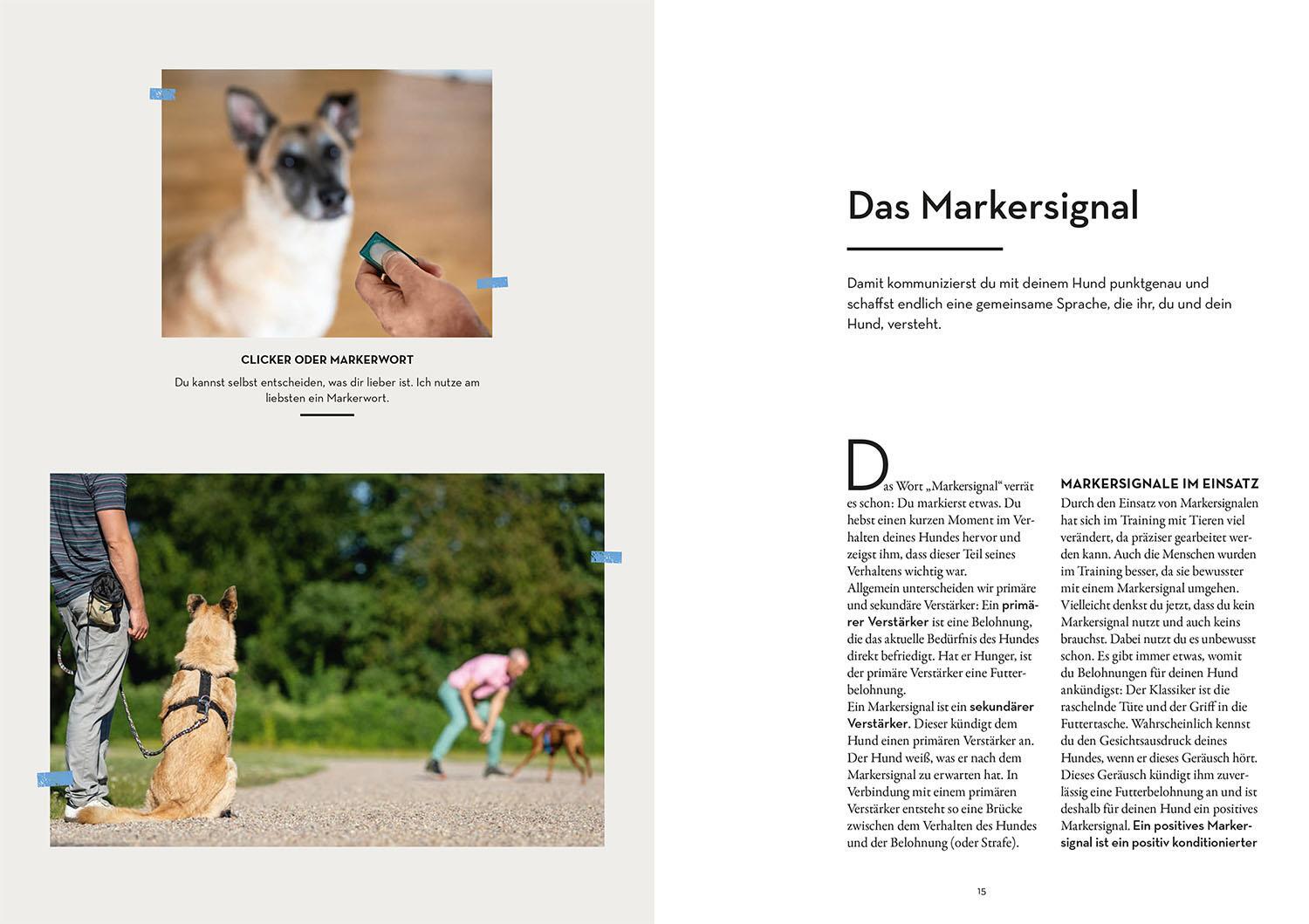 Bild: 9783440167199 | Marker-Training für Hunde | Ulrike Seumel | Taschenbuch | 176 S.