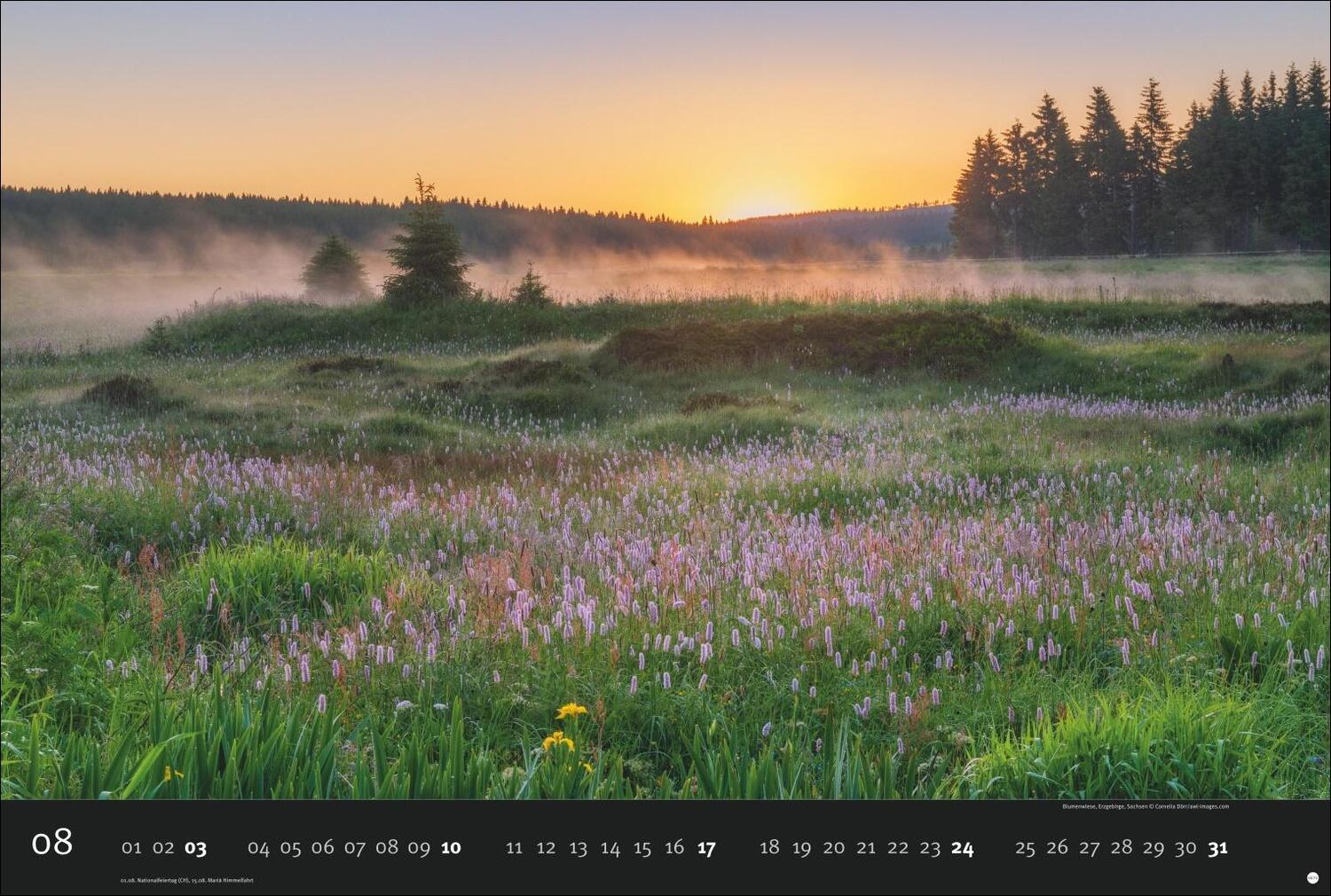 Bild: 9783756408269 | Deutschlands Naturparadiese Kalender 2025 | Harenberg | Kalender