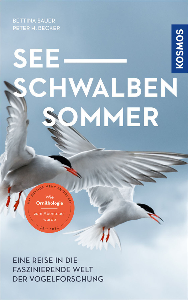 Cover: 9783440170724 | Seeschwalbensommer | Bettina Sauer (u. a.) | Taschenbuch | 232 S.