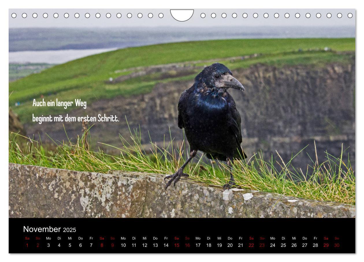 Bild: 9783435413416 | Irland - Irische Segenswünsche (Wandkalender 2025 DIN A4 quer),...