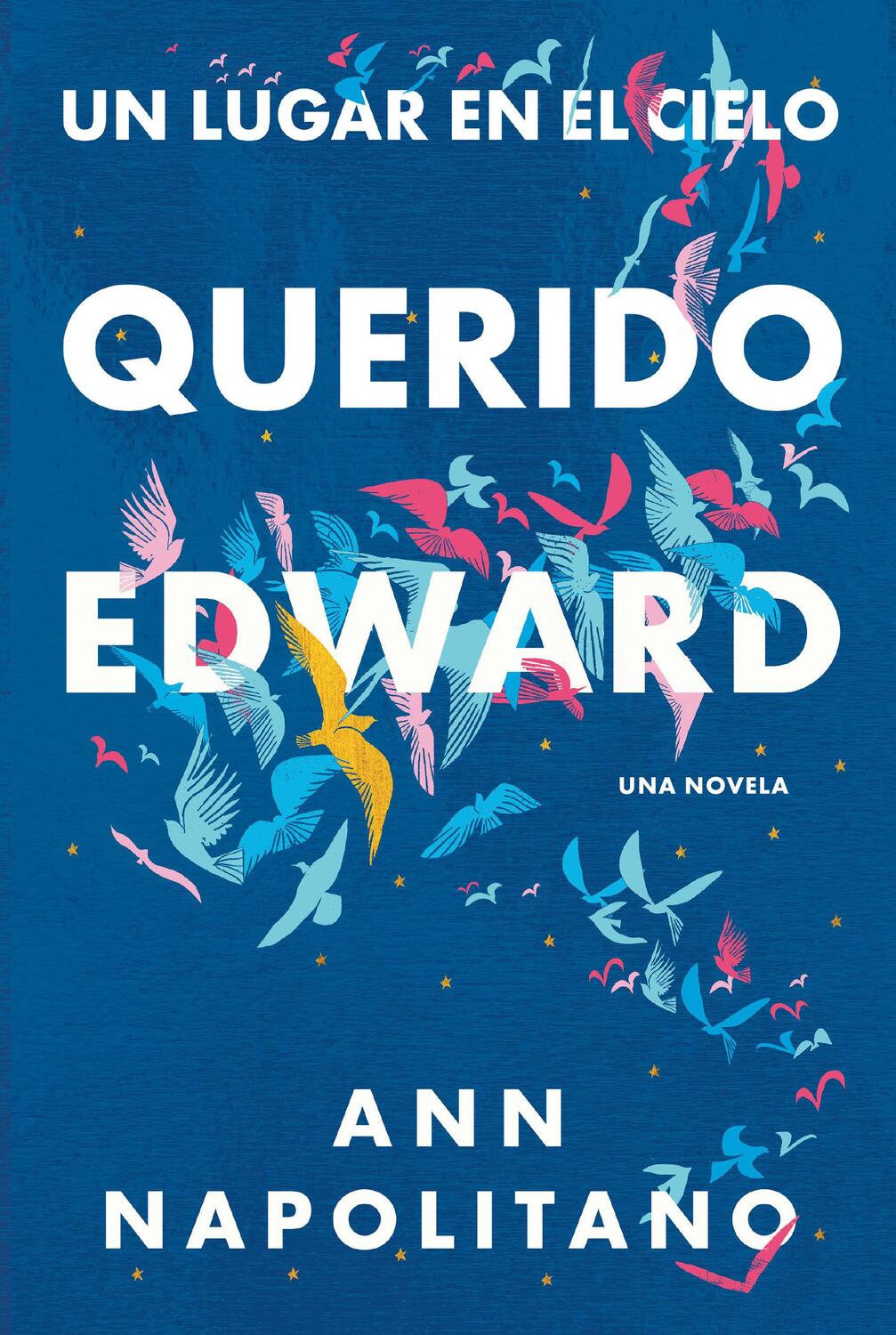 Cover: 9781644732144 | Querido Edward / Dear Edward | Ann Napolitano | Taschenbuch | Spanisch