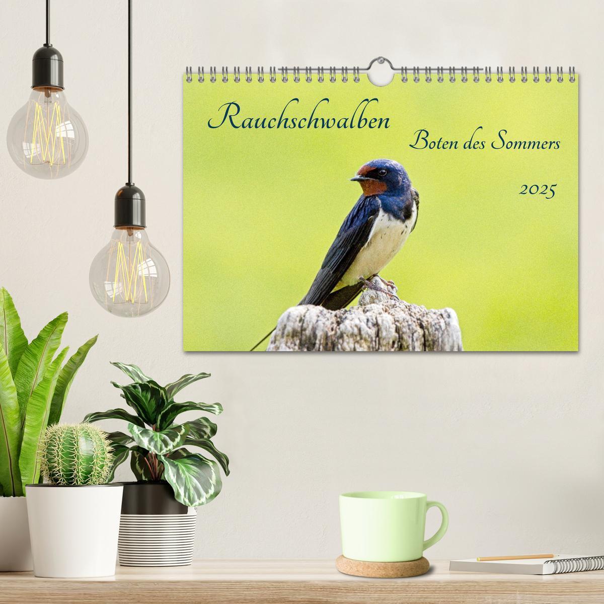 Bild: 9783383844607 | Rauchschwalben - Boten des Sommers (Wandkalender 2025 DIN A4 quer),...