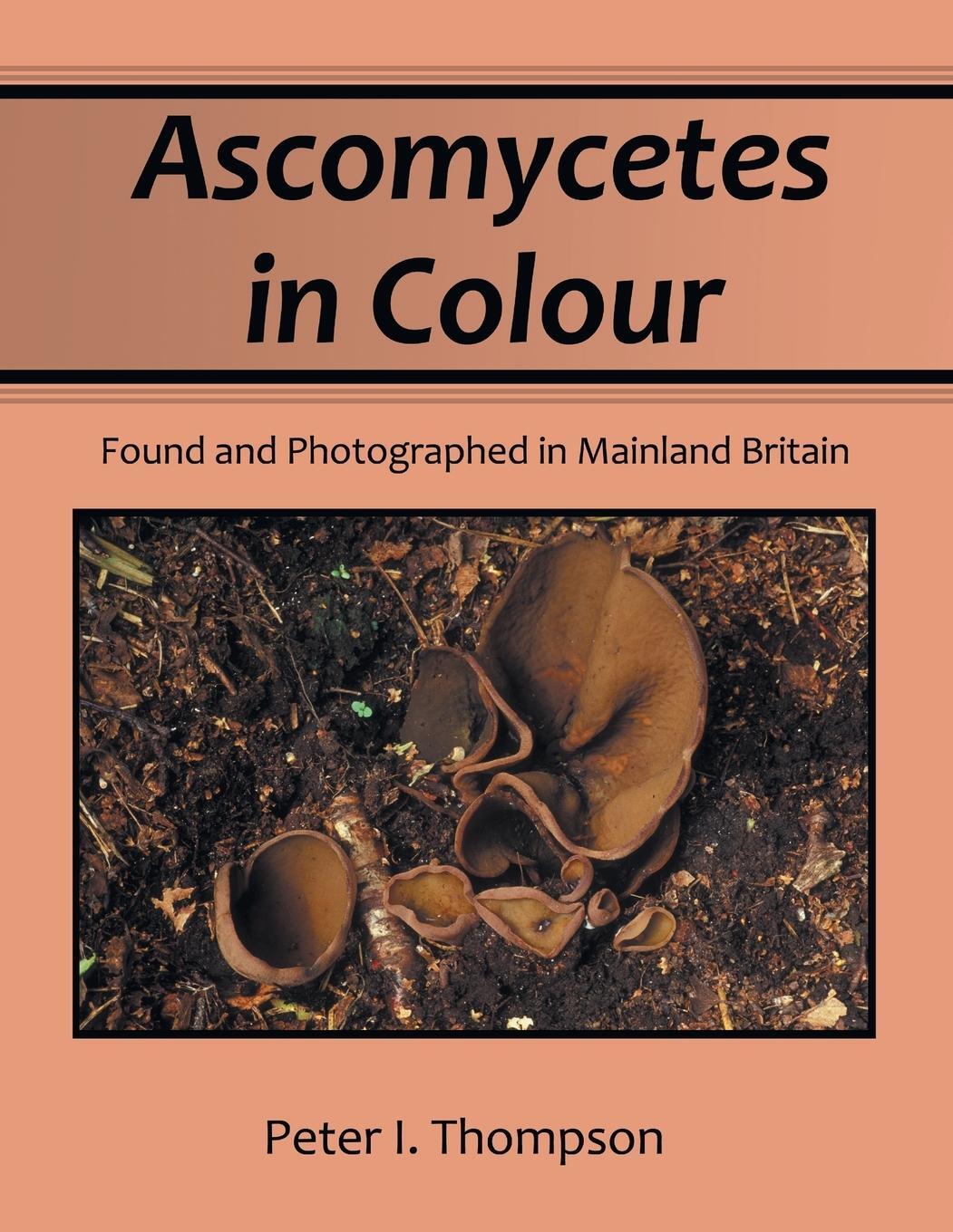 Cover: 9781479747559 | Ascomycetes in Colour | Found and Photographed in Mainland Britain