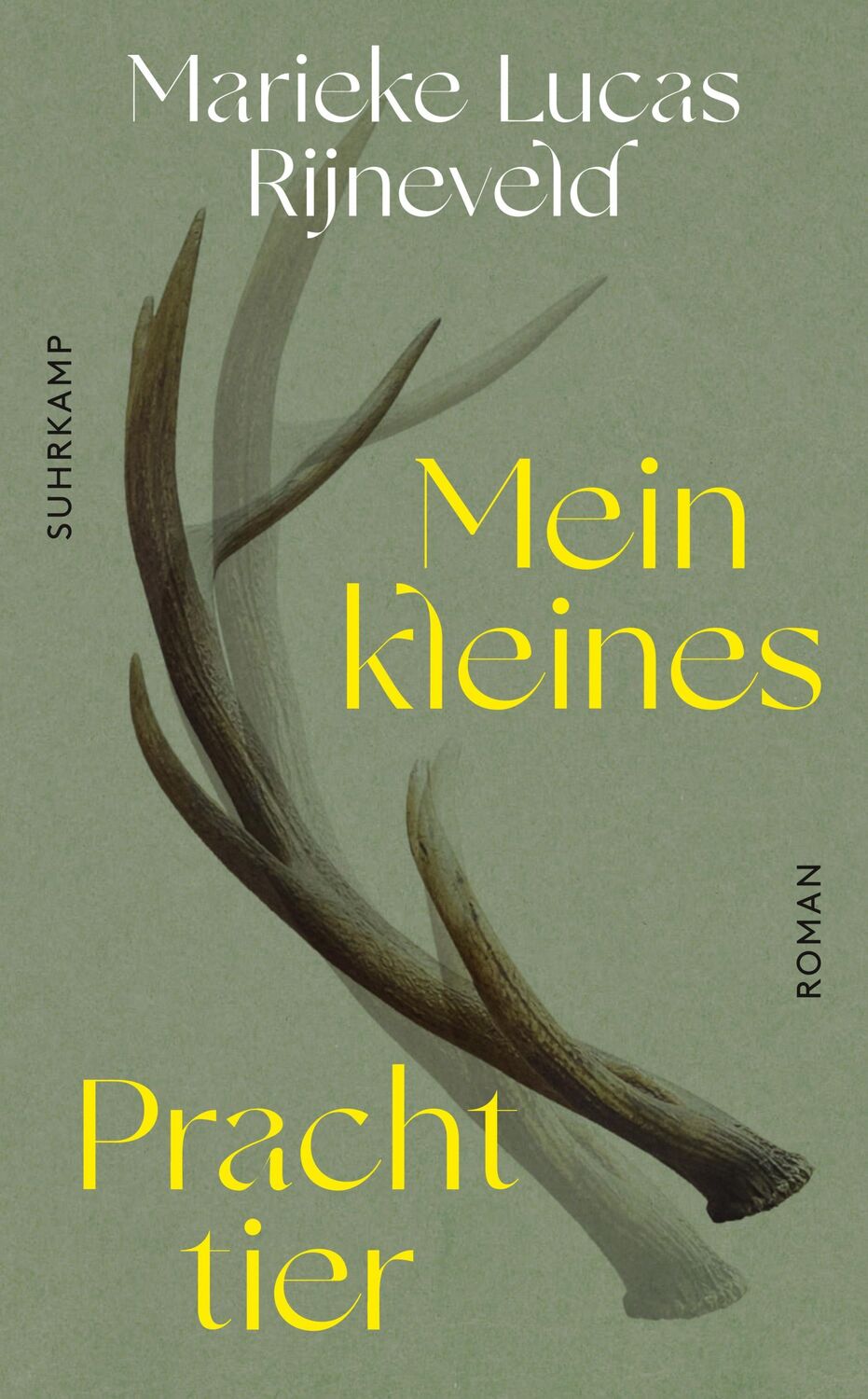 Cover: 9783518473160 | Mein kleines Prachttier | Roman | Lucas Rijneveld | Taschenbuch | 2023