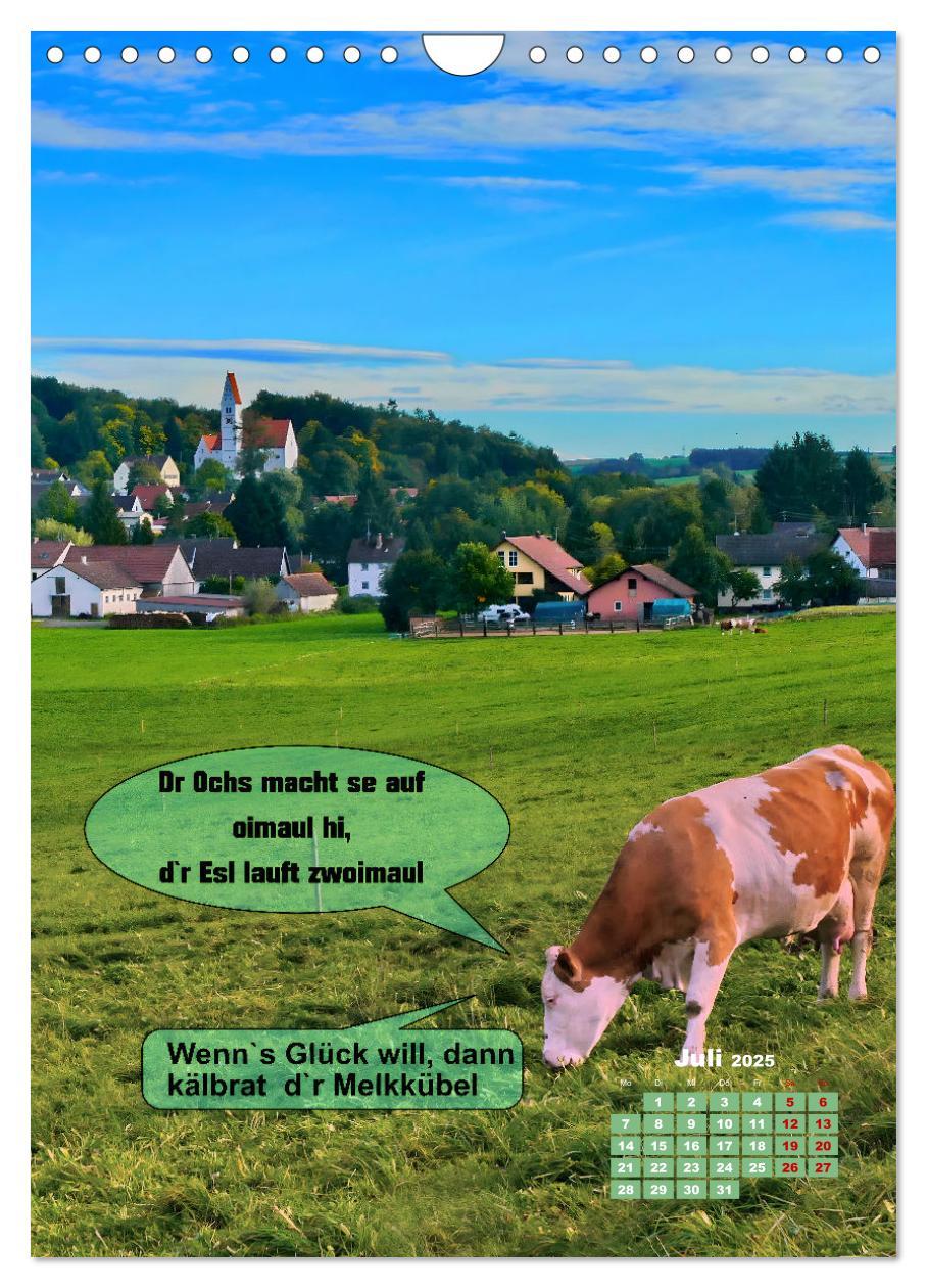 Bild: 9783435854813 | Schwäbische Sprichwörter - so gsaid (Wandkalender 2025 DIN A4...