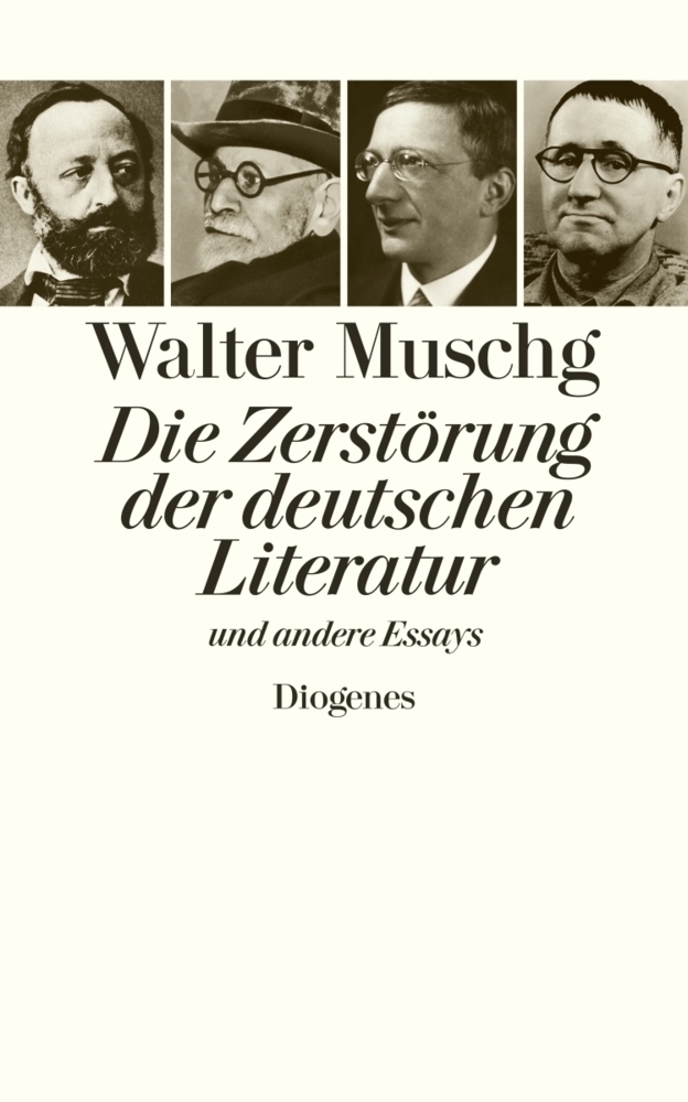 Cover: 9783257066456 | Die Zerstörung der deutschen Literatur | und andere Essays | Muschg