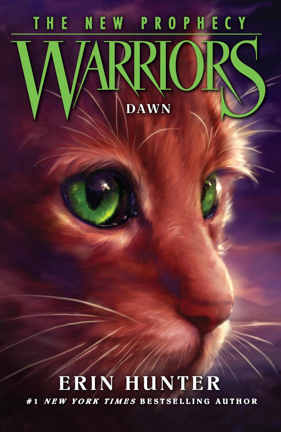 Cover: 9780007419241 | DAWN | Erin Hunter | Taschenbuch | Kartoniert / Broschiert | Englisch