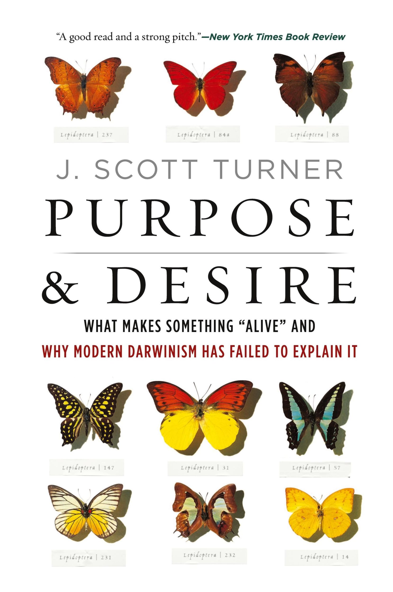 Cover: 9780062651570 | Purpose and Desire | J. Scott Turner | Taschenbuch | Englisch | 2023