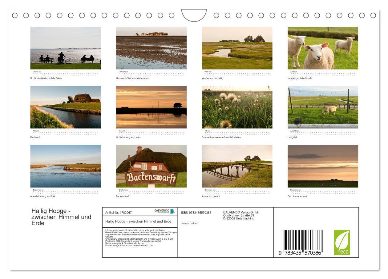 Bild: 9783435570386 | Hallig Hooge - zwischen Himmel und Erde (Wandkalender 2025 DIN A4...