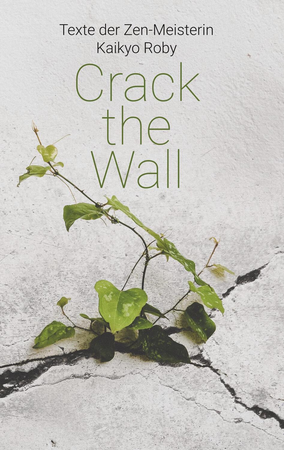 Cover: 9783749493258 | Crack the Wall | Kyoku Barbara Lutz | Taschenbuch | Paperback | 2020