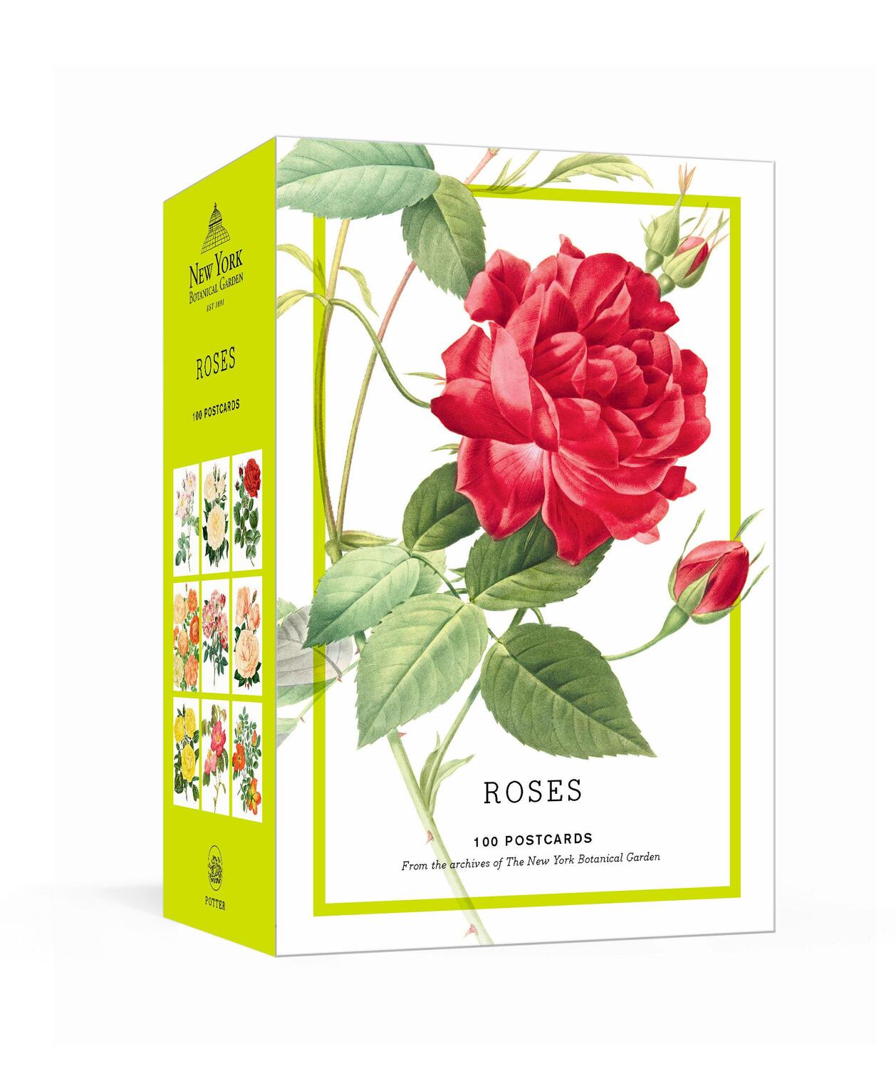 Cover: 9781524759117 | Roses | New The | Stück | Englisch | 2021 | Random House LLC US