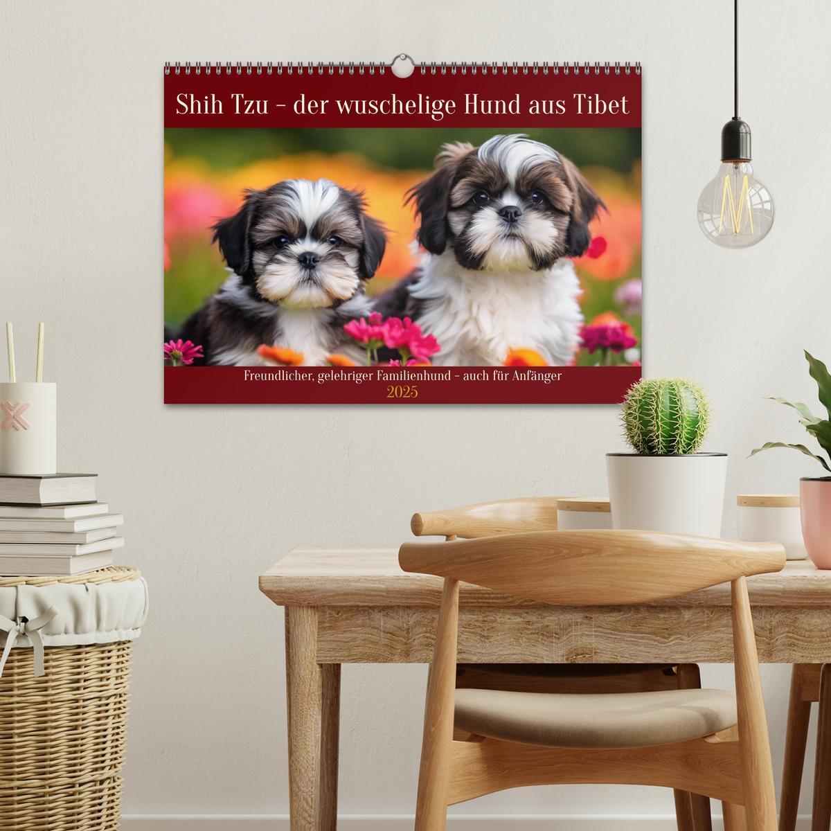 Bild: 9783435646555 | Shih Tzu - der wuschelige Hund aus Tibet (Wandkalender 2025 DIN A3...