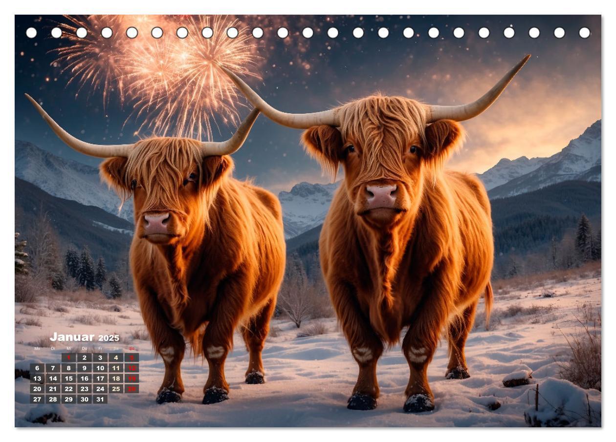 Bild: 9783383841309 | Highland Kühe (Tischkalender 2025 DIN A5 quer), CALVENDO...