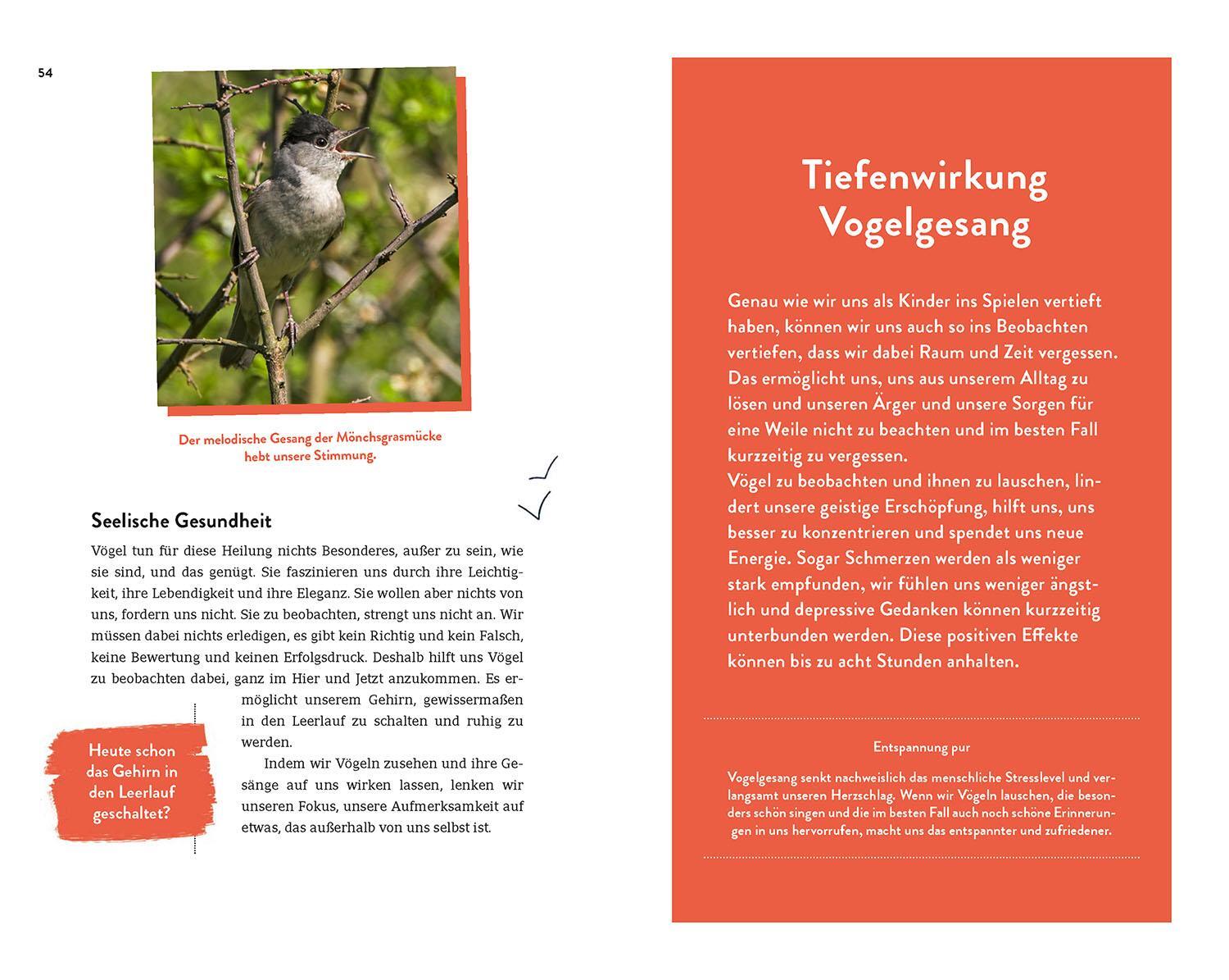 Bild: 9783440176702 | Die Superkräfte der Vögel | Silke Hartmann | Taschenbuch | 192 S.