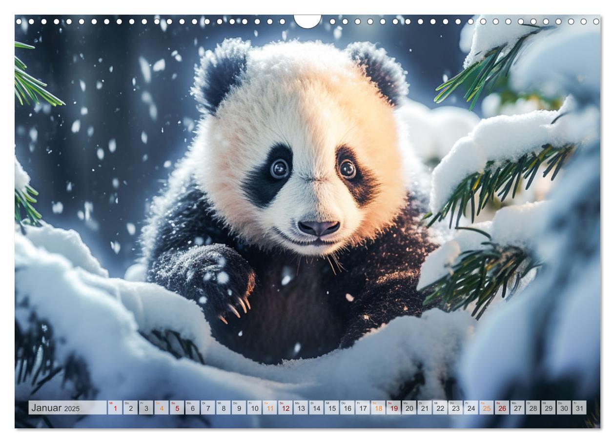 Bild: 9783383893636 | Die Abenteuer des kleinen Panda (Wandkalender 2025 DIN A3 quer),...