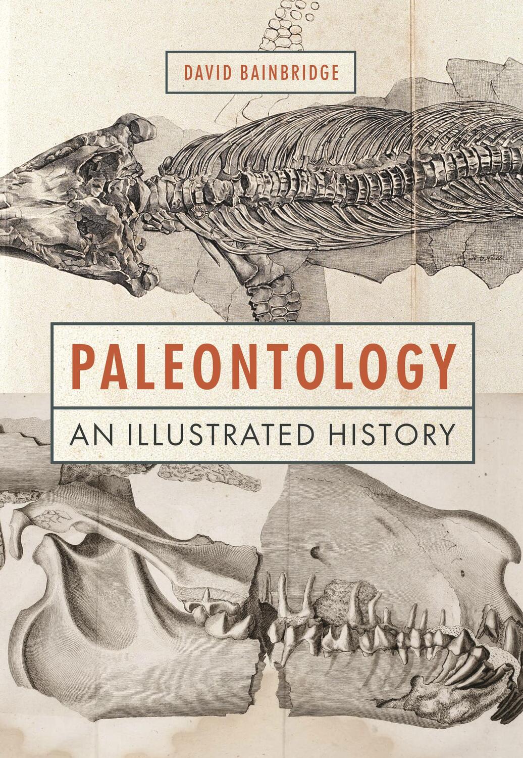 Cover: 9780691220925 | Paleontology | An Illustrated History | David Bainbridge | Buch | 2022