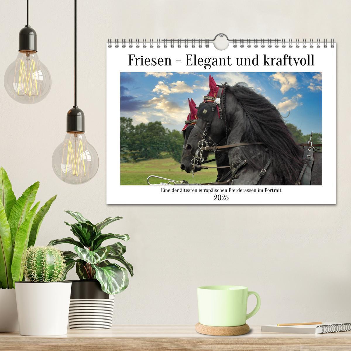 Bild: 9783383869808 | Friesen - elegant und kraftvoll (Wandkalender 2025 DIN A4 quer),...