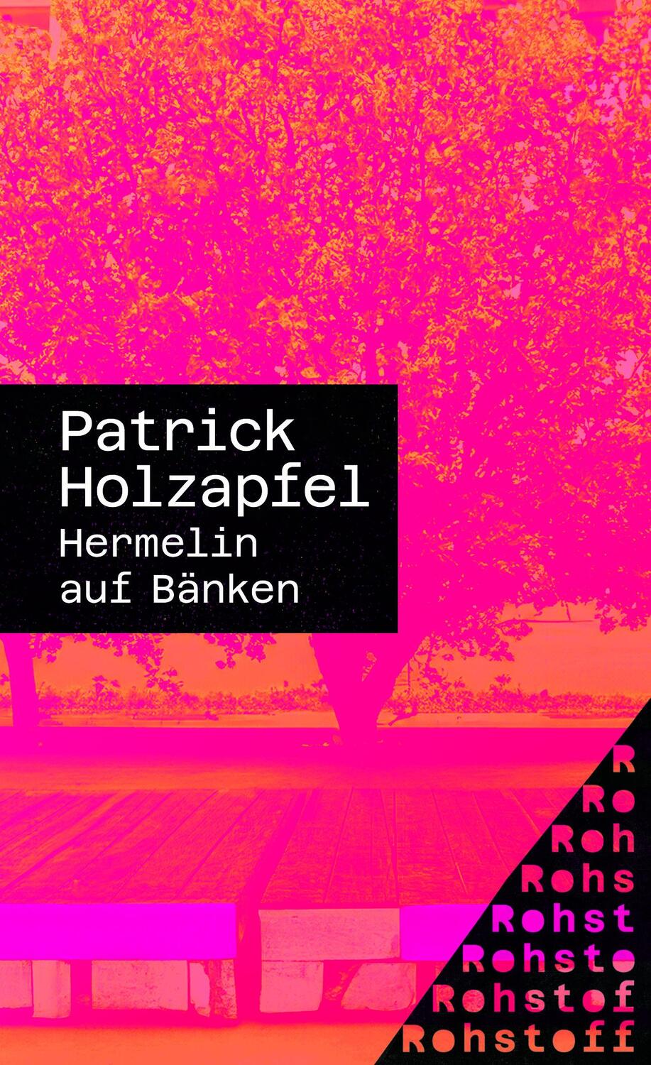 Cover: 9783751870252 | Hermelin auf Bänken | Patrick Holzapfel | Taschenbuch | 176 S. | 2024