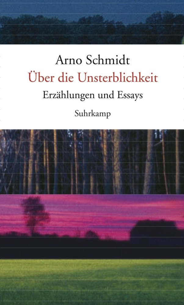 Cover: 9783518421239 | Über die Unsterblichkeit | Erzählungen und Essays | Arno Schmidt