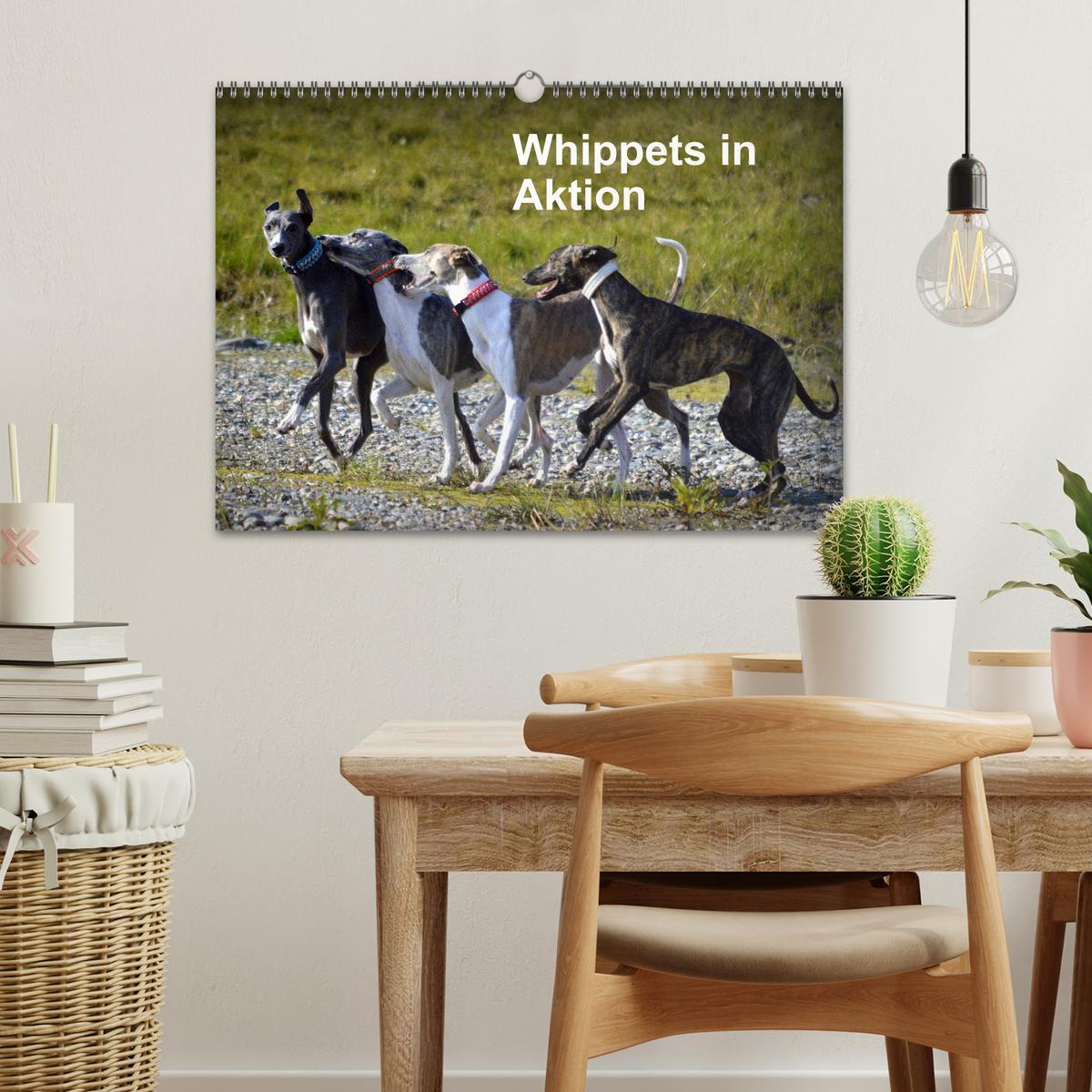 Bild: 9783435634385 | Whippets in Aktion (Wandkalender 2025 DIN A3 quer), CALVENDO...