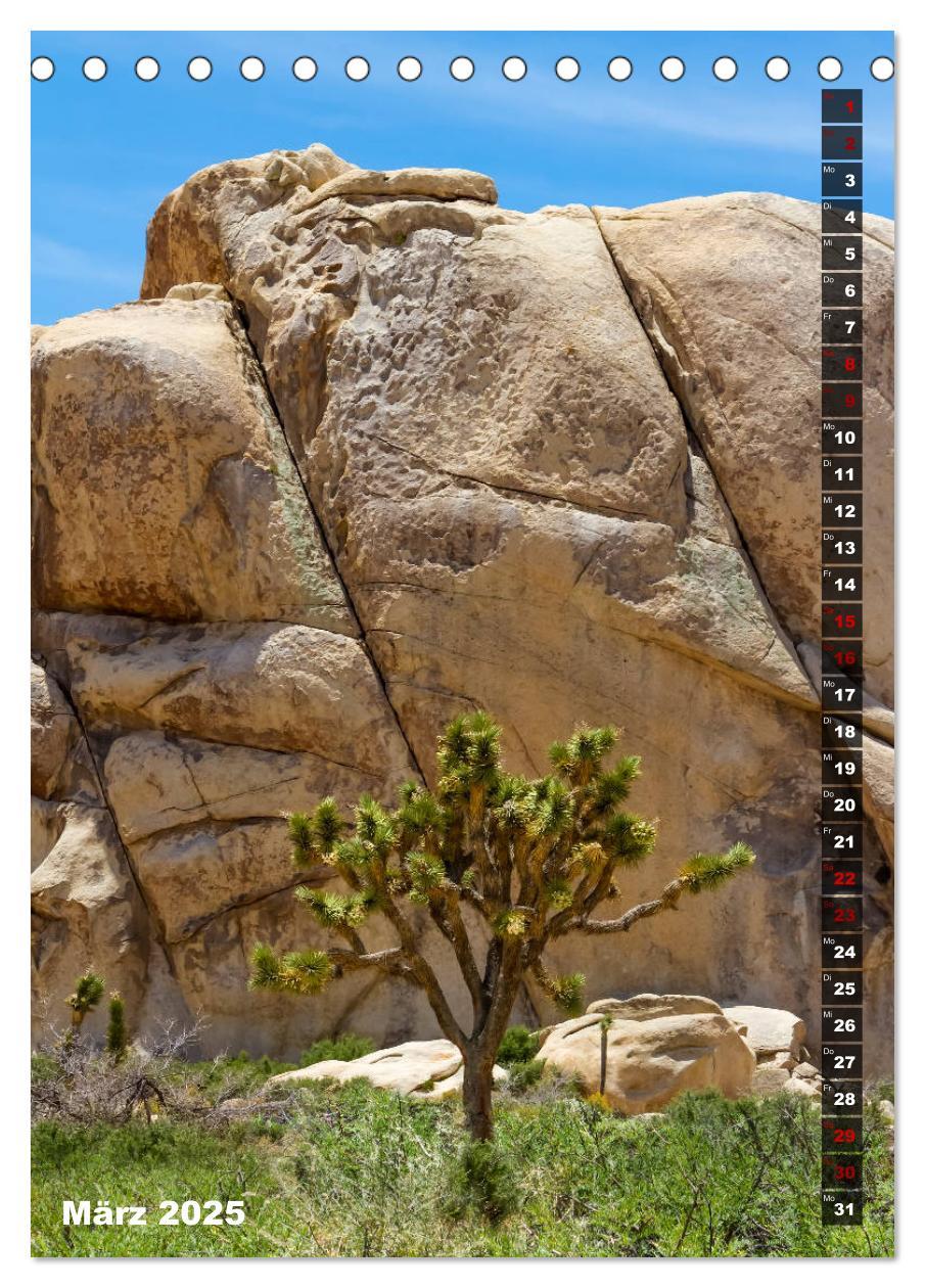 Bild: 9783435961108 | Impressionen aus dem JOSHUA TREE NATIONAL PARK (Tischkalender 2025...