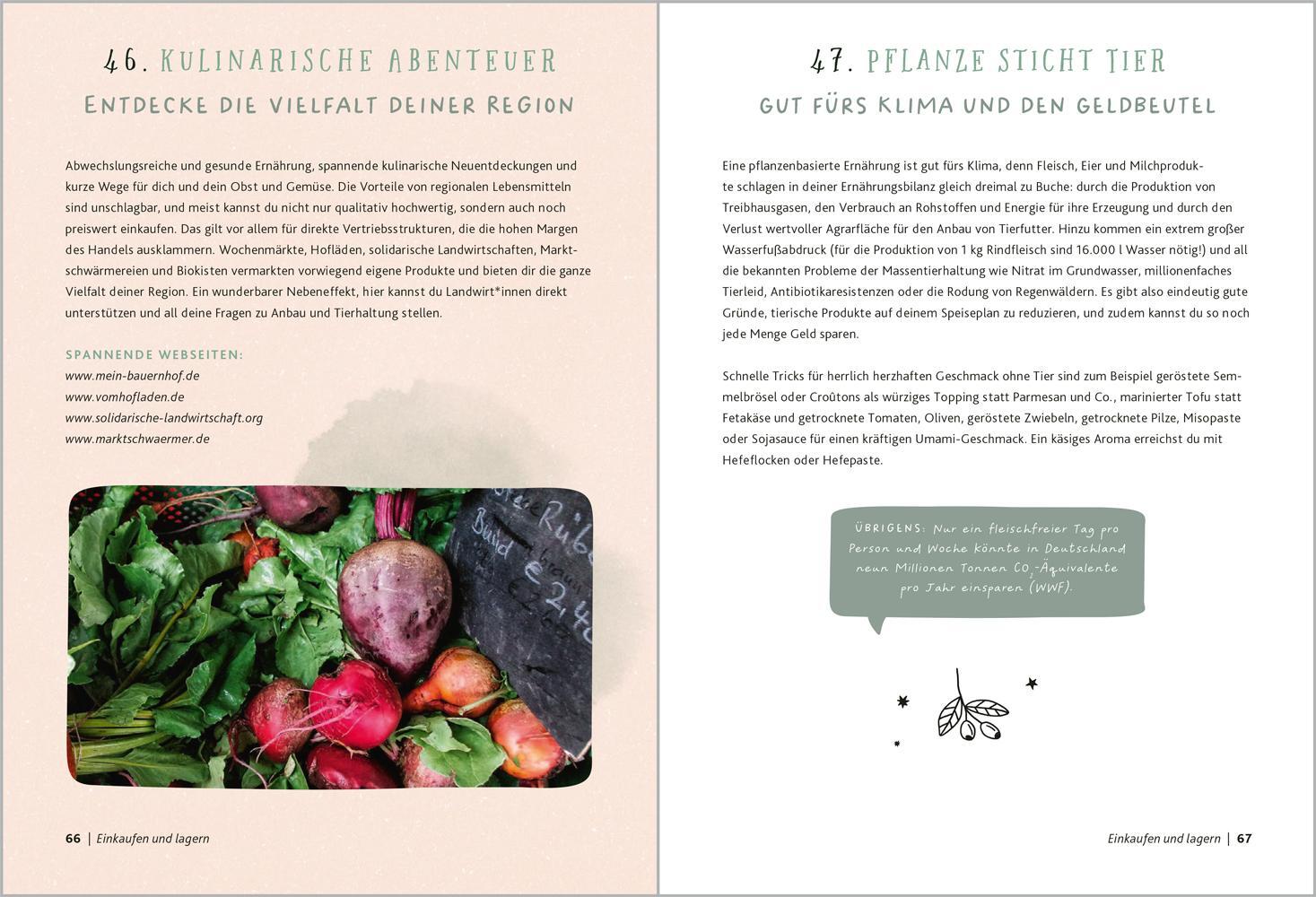 Bild: 9783987260377 | Meine nachhaltige Küche - on a budget | Alexandra Achenbach | Buch