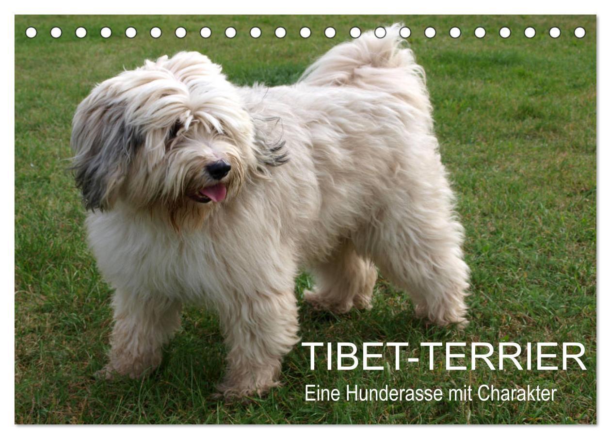 Cover: 9783675682047 | Tibet-Terrier - Eine Hunderasse mit Charakter (Tischkalender 2024...