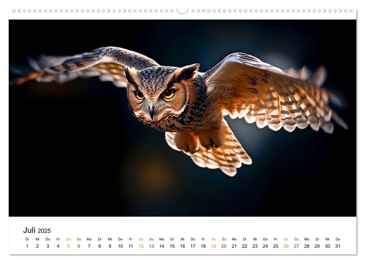 Bild: 9783457232781 | Im Reich der Eulen (hochwertiger Premium Wandkalender 2025 DIN A2...