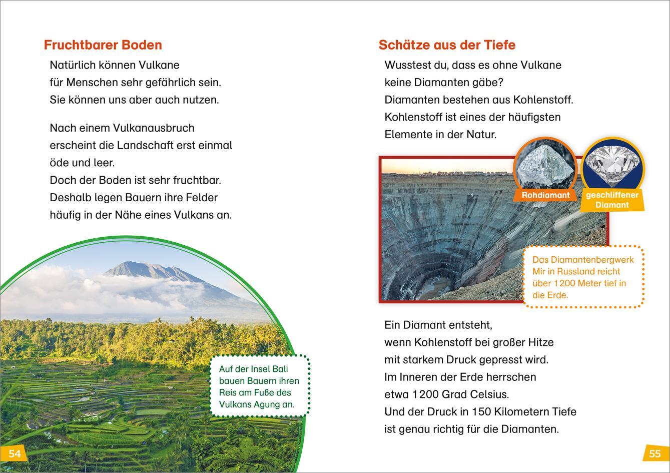 Bild: 9783788681210 | WAS IST WAS Erstes Lesen Doppelband 3.Vulkane/Regenwald | Braun | Buch