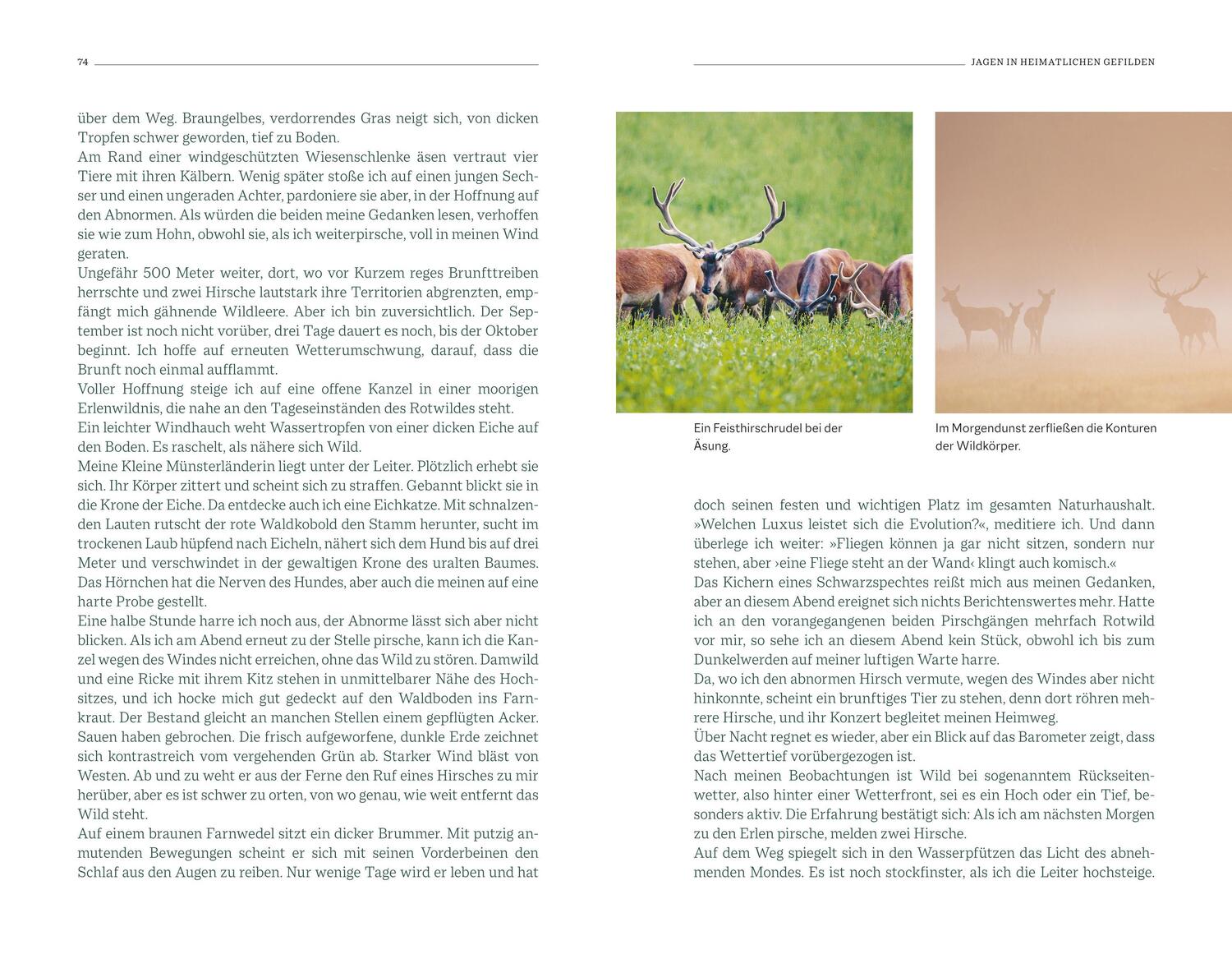 Bild: 9783967470550 | Ein Leben für die Jagd | 66 Jahre gelebte Jagdpassion | Harling | Buch
