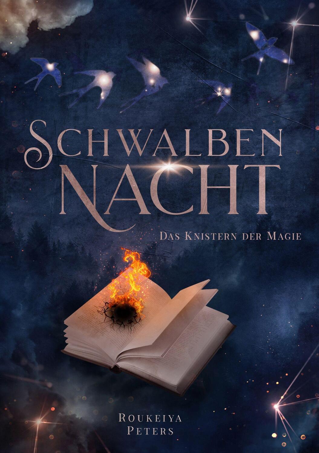 Cover: 9783985953462 | Schwalbennacht | Das Knistern der Magie | Roukeiya Peters | Buch