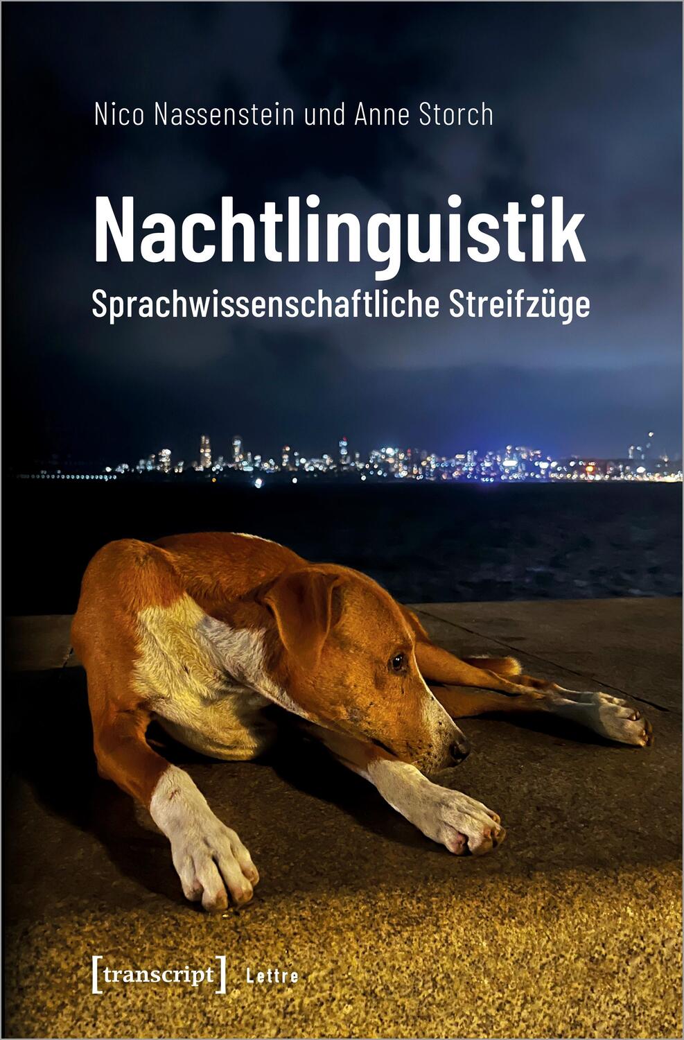 Cover: 9783837665383 | Nachtlinguistik | Sprachwissenschaftliche Streifzüge | Taschenbuch