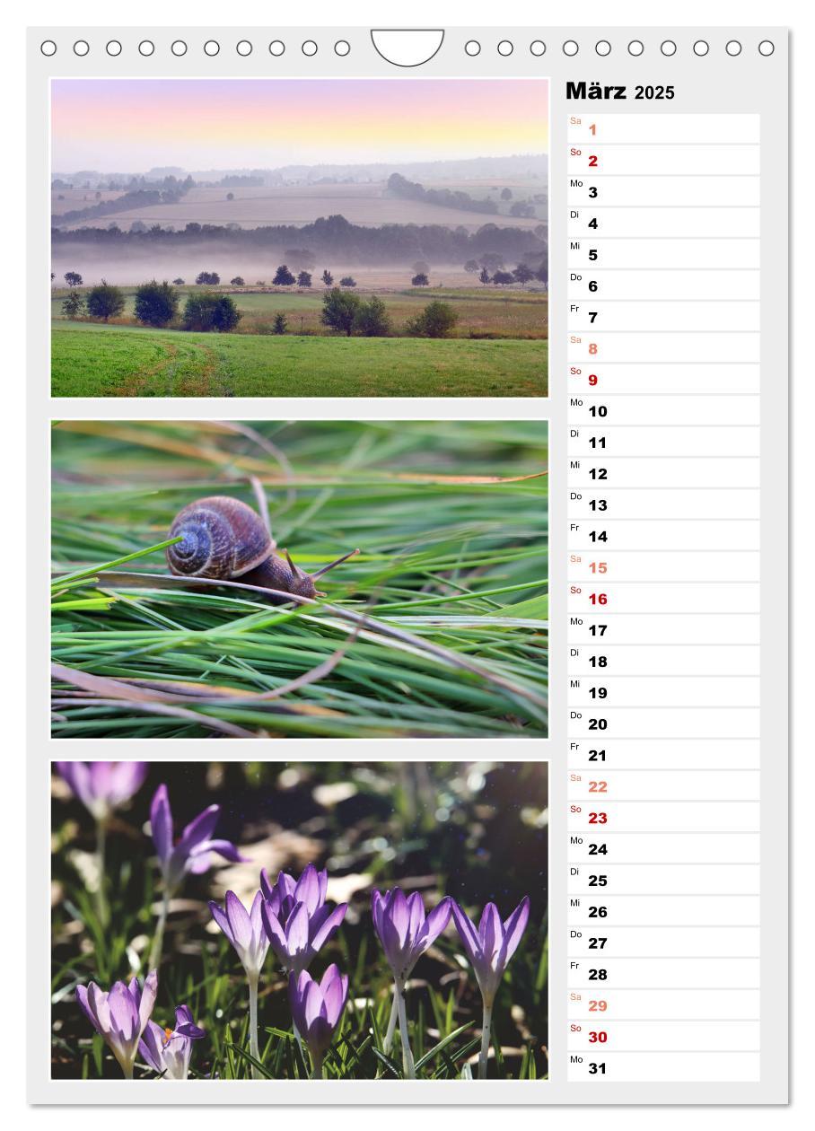 Bild: 9783435889877 | Zauberhafte Farben der Natur (Wandkalender 2025 DIN A4 hoch),...