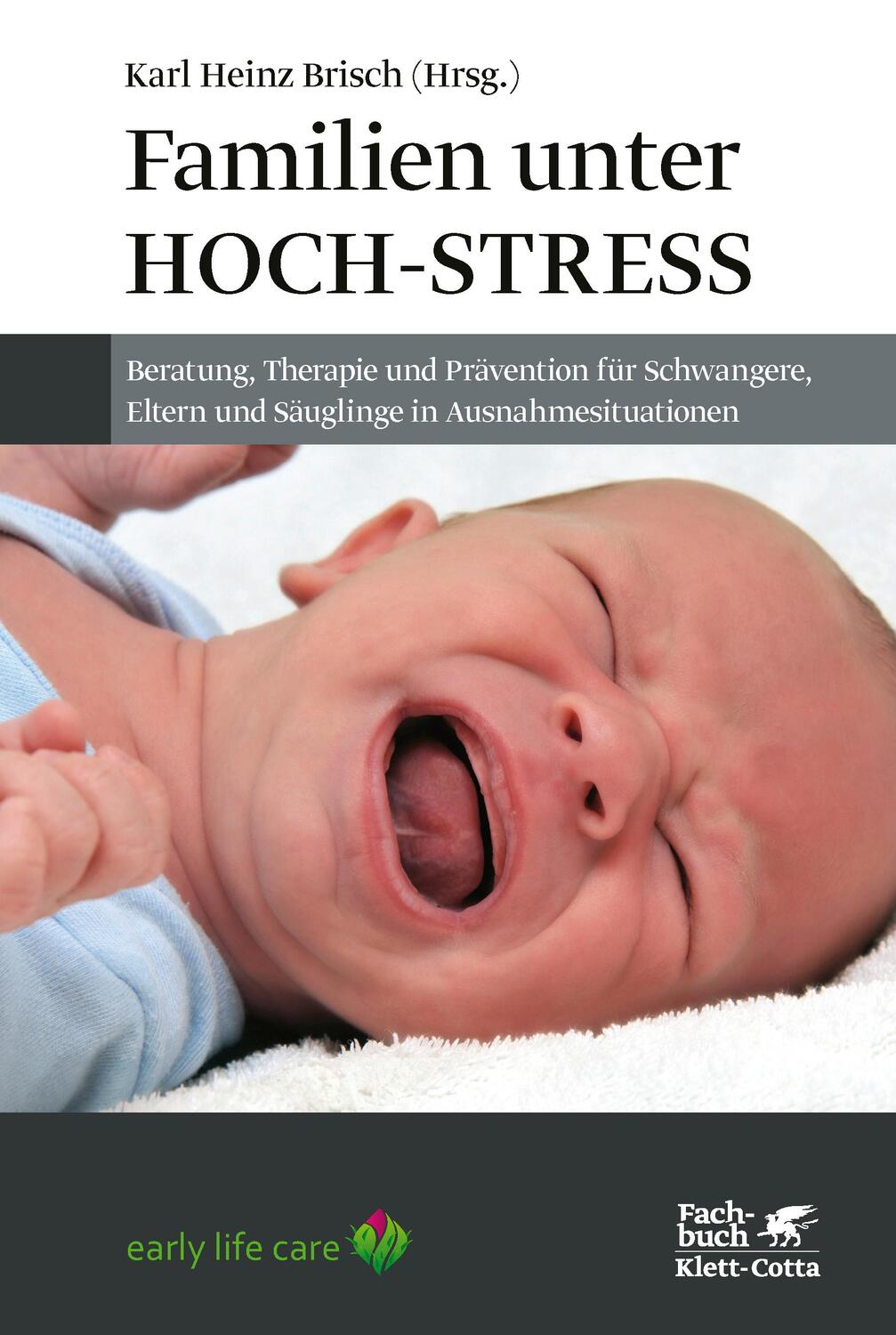 Cover: 9783608963892 | Familien unter Hoch-Stress | Karl Heinz Brisch | Taschenbuch | Deutsch