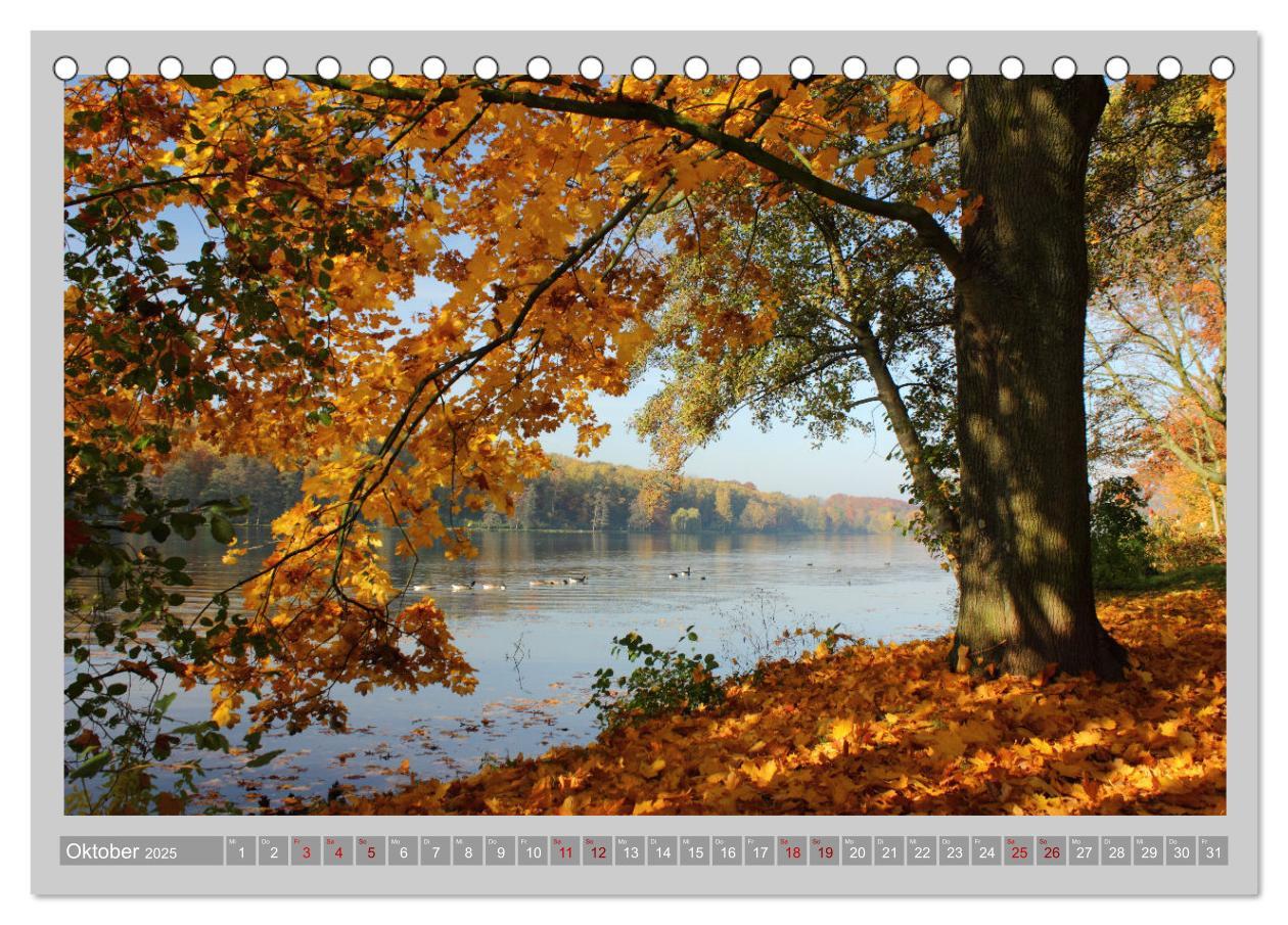 Bild: 9783383934889 | Baldeneysee - Oase der Ruhe (Tischkalender 2025 DIN A5 quer),...