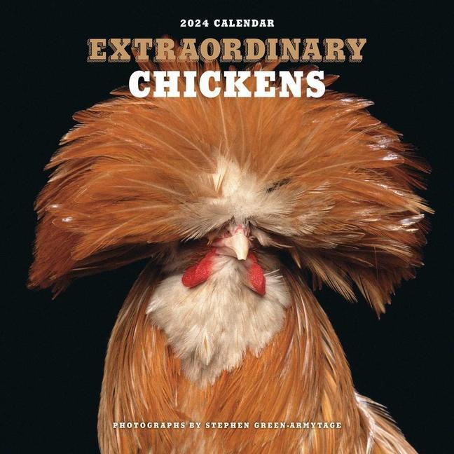 Cover: 9781419768637 | Extraordinary Chickens 2024 Wall Calendar | Stephen Green-Armytage