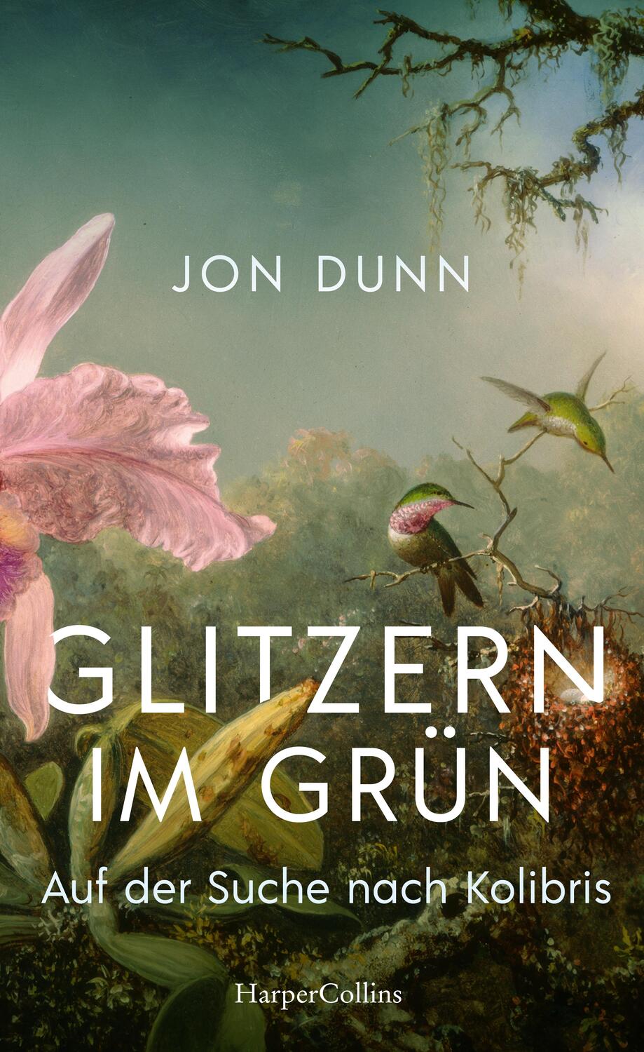 Cover: 9783365001608 | Glitzern im Grün - Auf der Suche nach Kolibris | Jon Dunn | Buch
