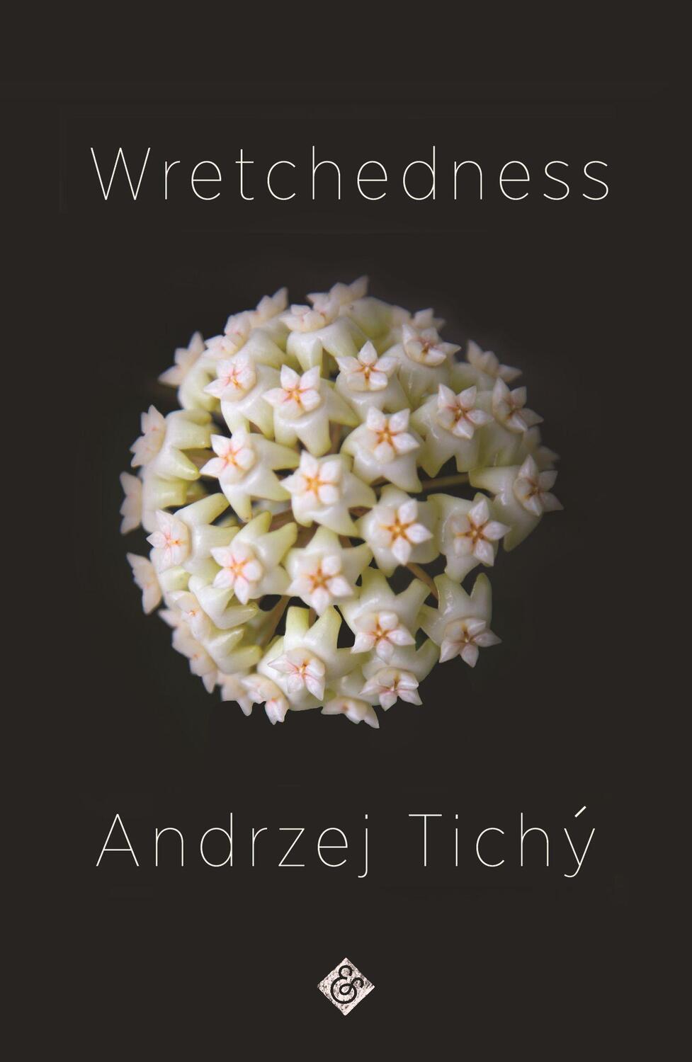 Cover: 9781911508762 | Wretchedness | Andrzej Tichy | Taschenbuch | Englisch | 2020