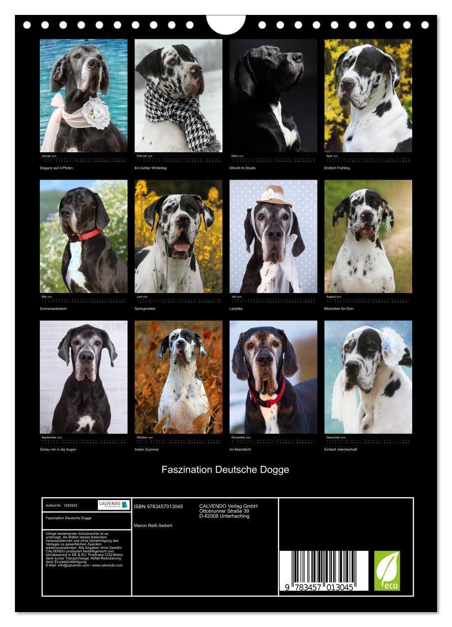 Bild: 9783457013045 | Faszination Deutsche Dogge (Wandkalender 2025 DIN A4 hoch),...