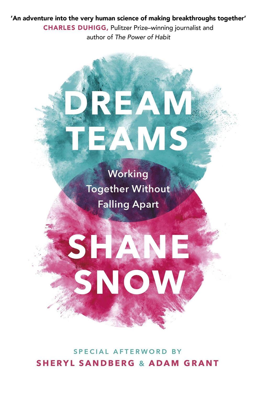 Cover: 9780349420967 | Dream Teams | Working Together Without Falling Apart | Shane Snow