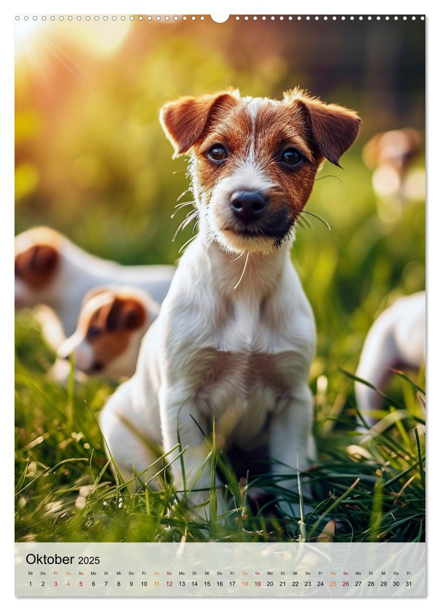 Bild: 9783383778827 | Jack Russel Terrier - furchtlos und viel Selbstvertrauen...