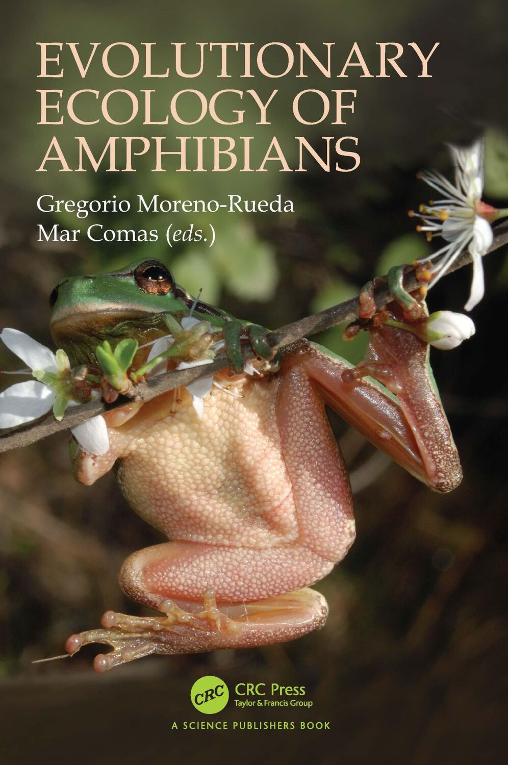 Cover: 9780367553968 | Evolutionary Ecology of Amphibians | Gregorio Moreno-Rueda (u. a.)