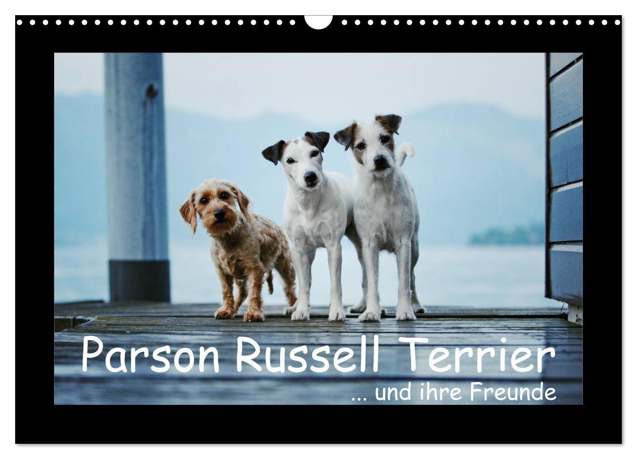 Cover: 9783675904156 | Parson Russell Terrier (Wandkalender 2024 DIN A3 quer), CALVENDO...