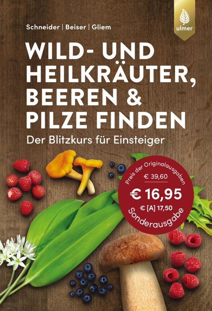 Cover: 9783818608286 | Wild- und Heilkräuter, Beeren und Pilze finden | Schneider (u. a.)