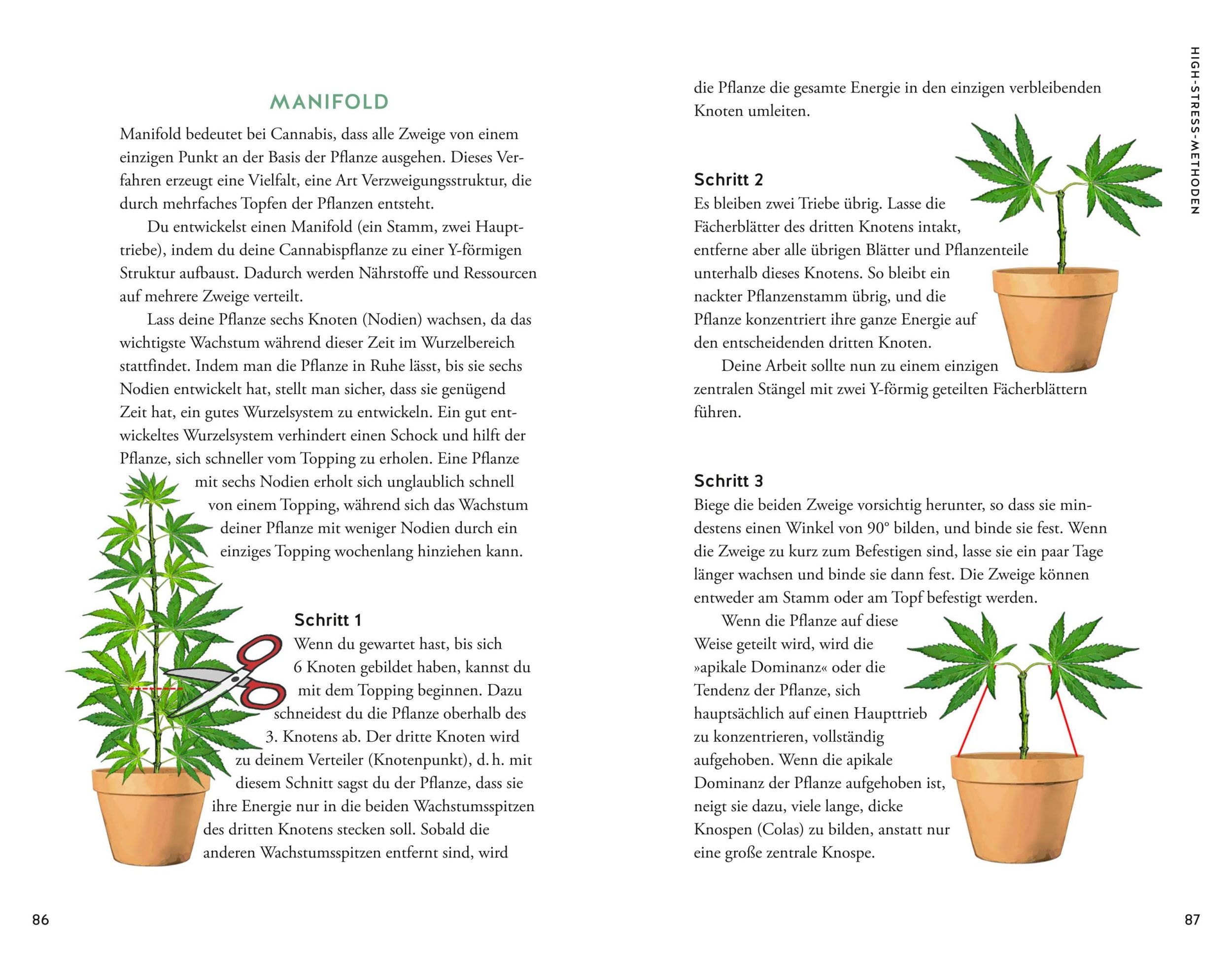 Bild: 9783833896828 | Cannabis | So klappt's garantiert | Christian Stolberg | Taschenbuch