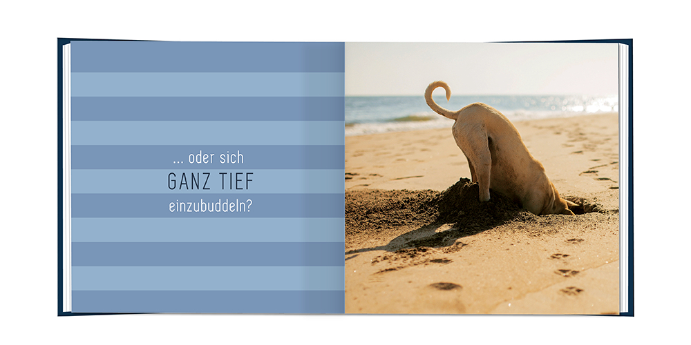 Bild: 9783862297856 | Ein cooler Typ hat Geburtstag! | Miniaturbuch | Original | Buch | 2020