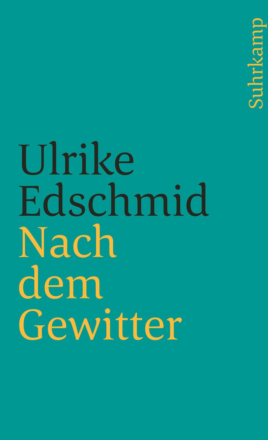 Cover: 9783518399811 | Nach dem Gewitter | Ulrike Edschmid | Taschenbuch | Deutsch | 2003