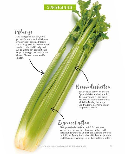 Bild: 9783966641852 | Regrowing - Neue Triebe aus Obst- und Gemüseresten | Eliana Ferioli