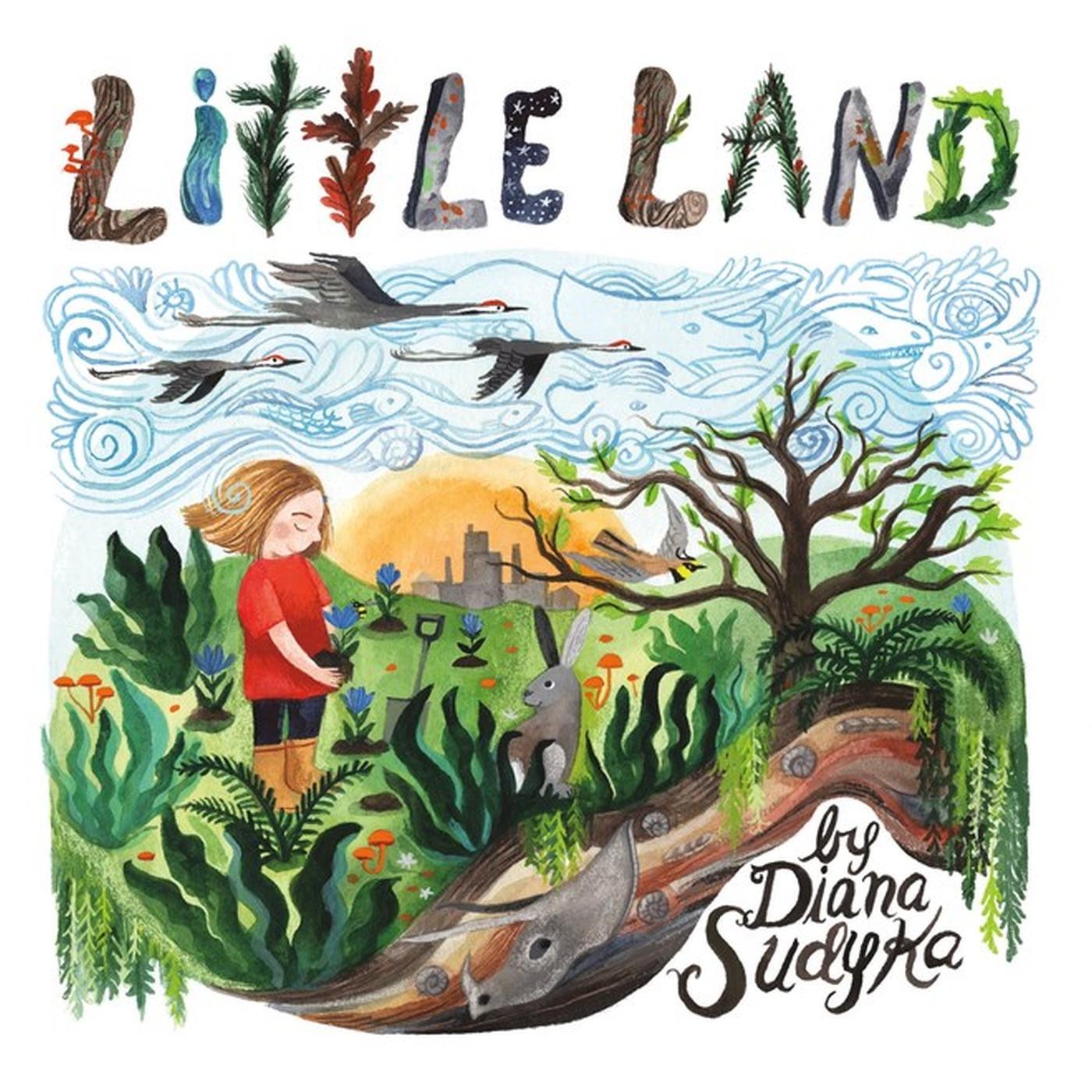 Cover: 9780316301763 | Little Land | Diana Sudyka | Buch | Gebunden | Englisch | 2023