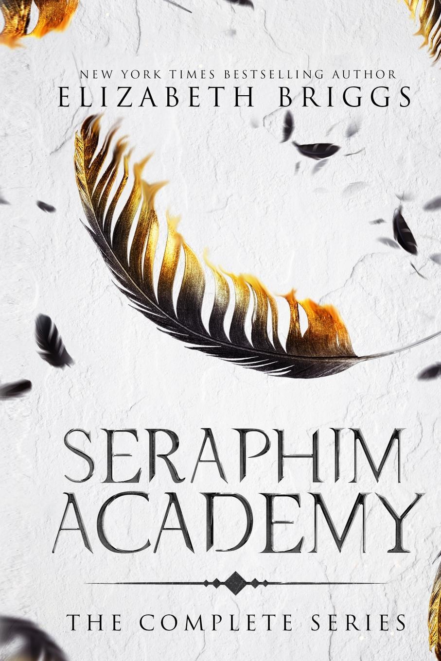 Cover: 9781948456593 | Seraphim Academy | The Complete Series | Elizabeth Briggs | Buch